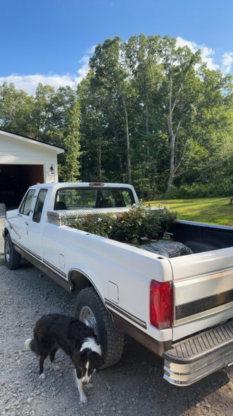 1995 F250 build photo 28